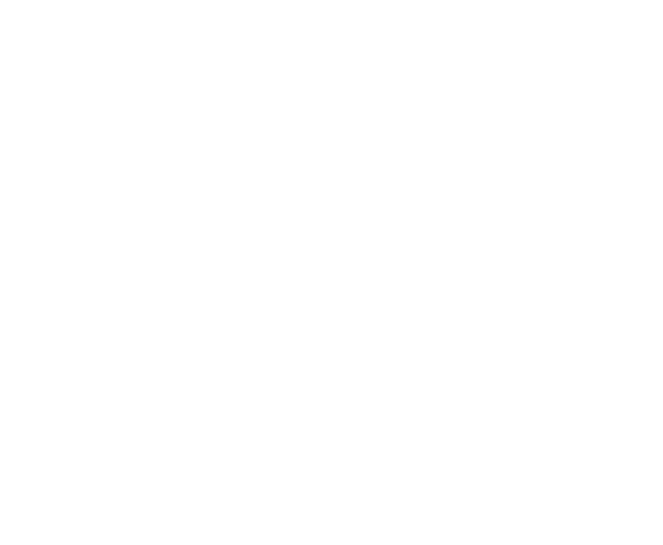 Main Logo